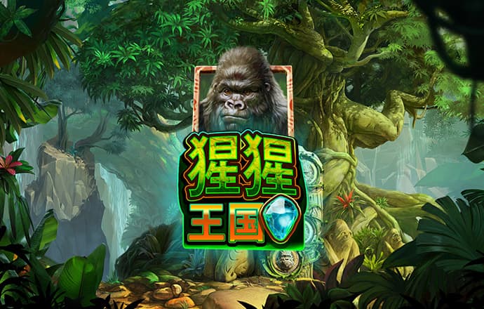 三亿体育app平台官网